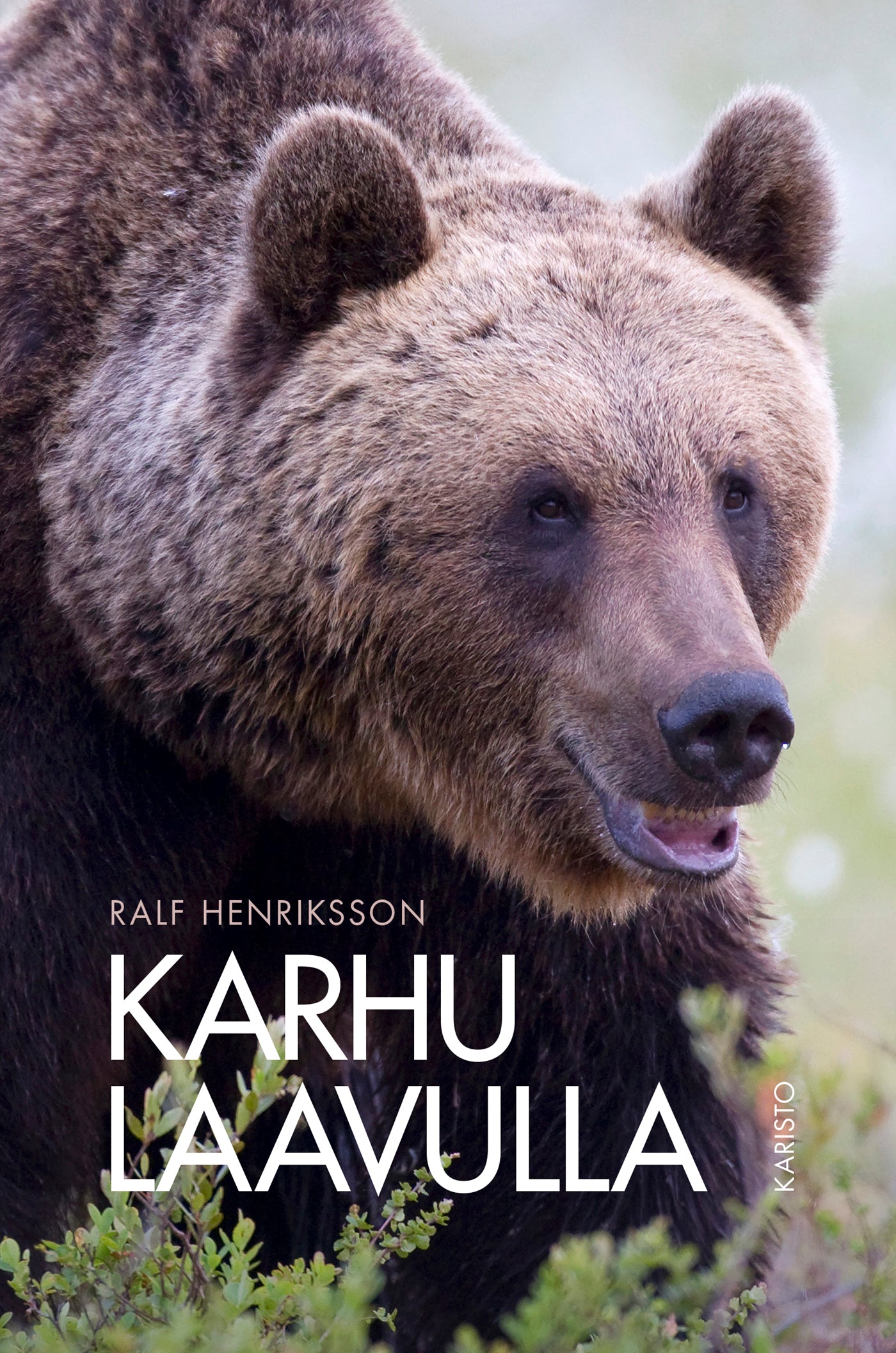 Karhu laavulla – E-bok