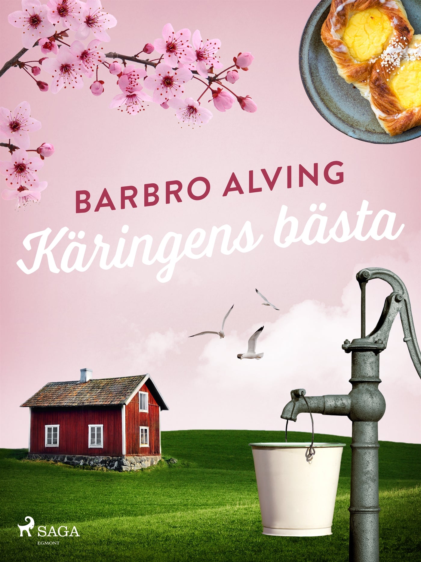 Käringens bästa – E-bok