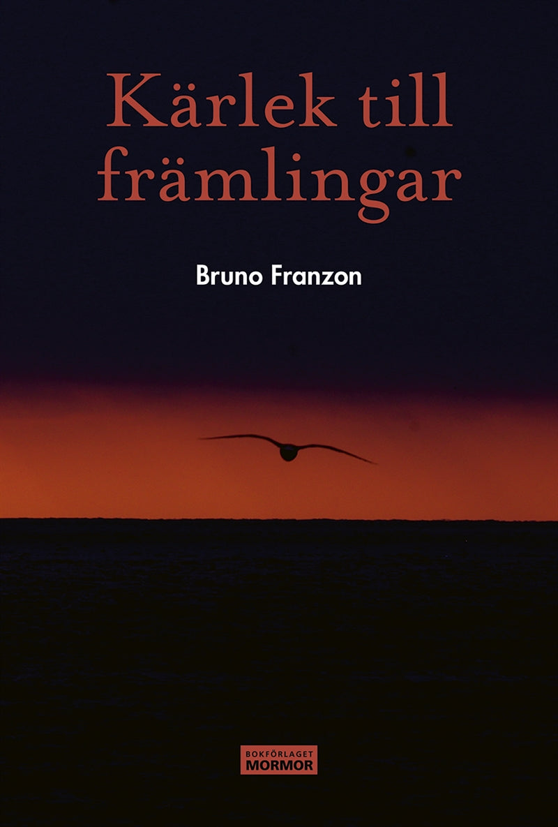 Kärlek till främlingar – E-bok