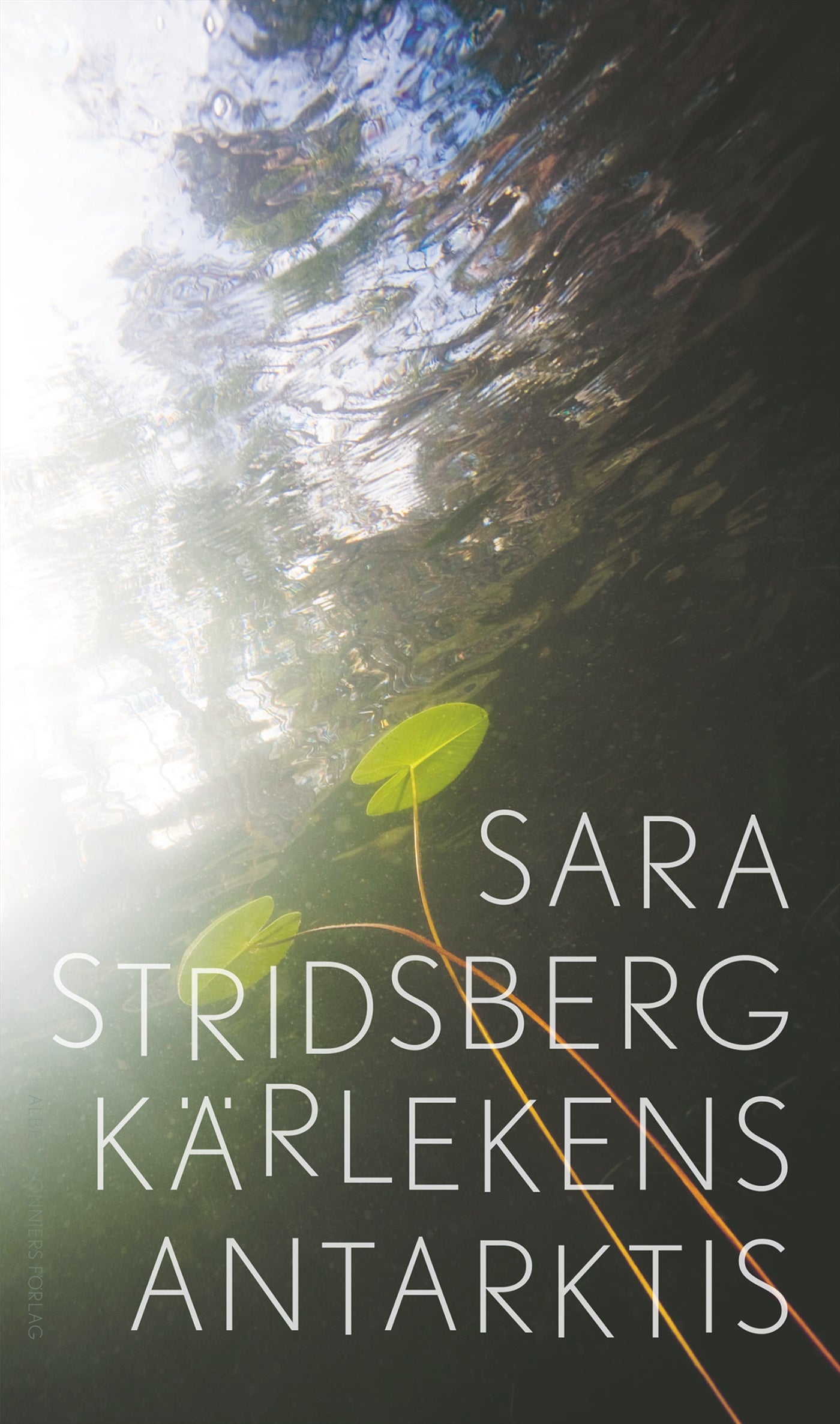 Kärlekens Antarktis – E-bok