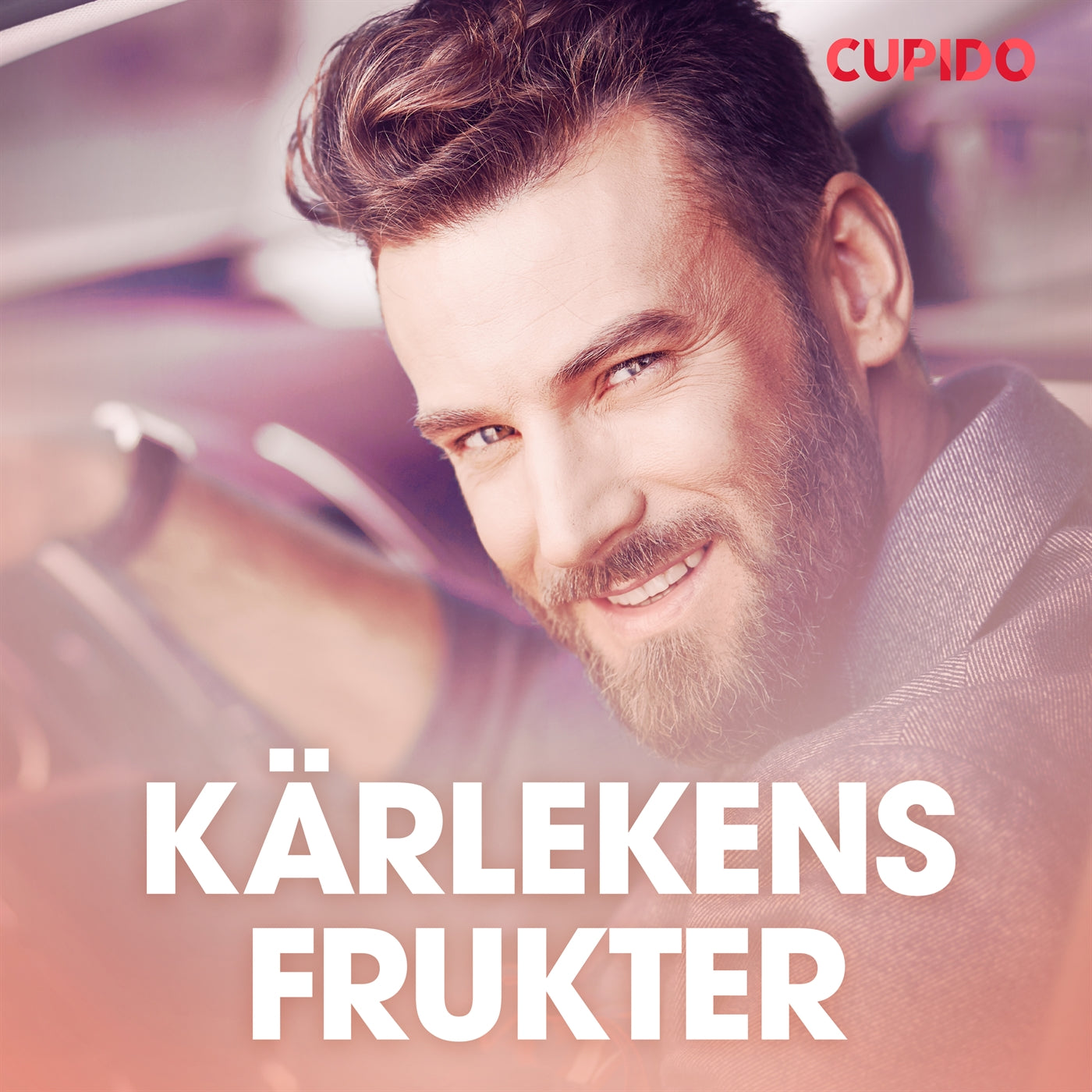 Kärlekens frukter - erotiska noveller – Ljudbok