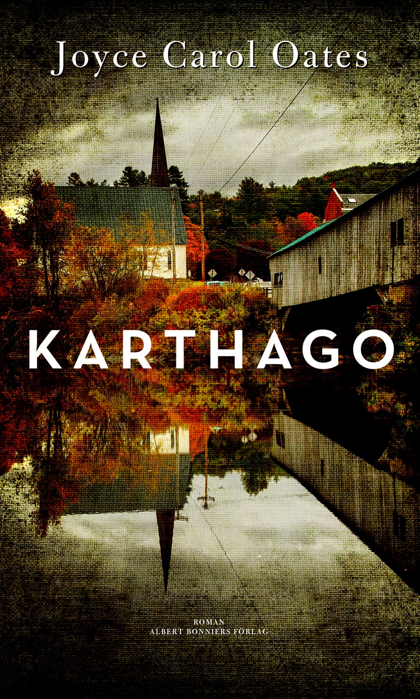 Karthago – E-bok
