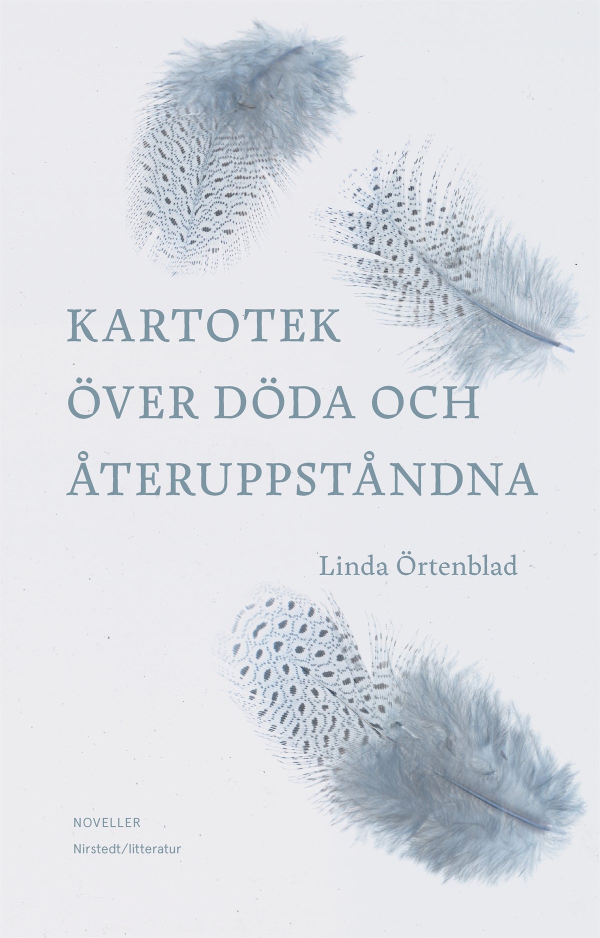 Kartotek över döda och återuppståndna – E-bok