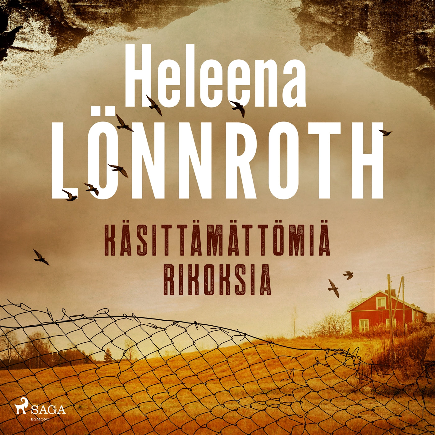 Käsittämättömiä rikoksia – Ljudbok