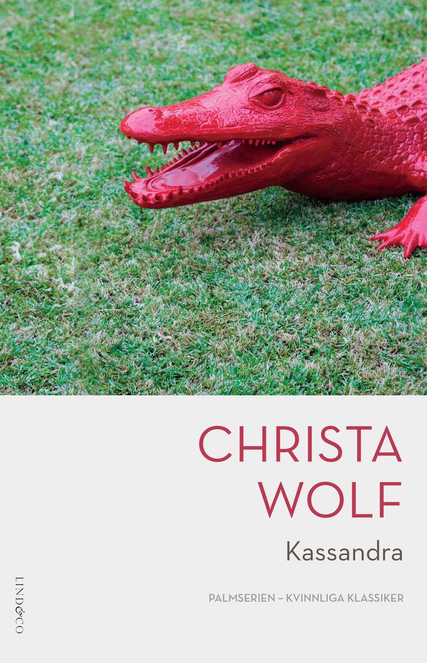 Kassandra – E-bok