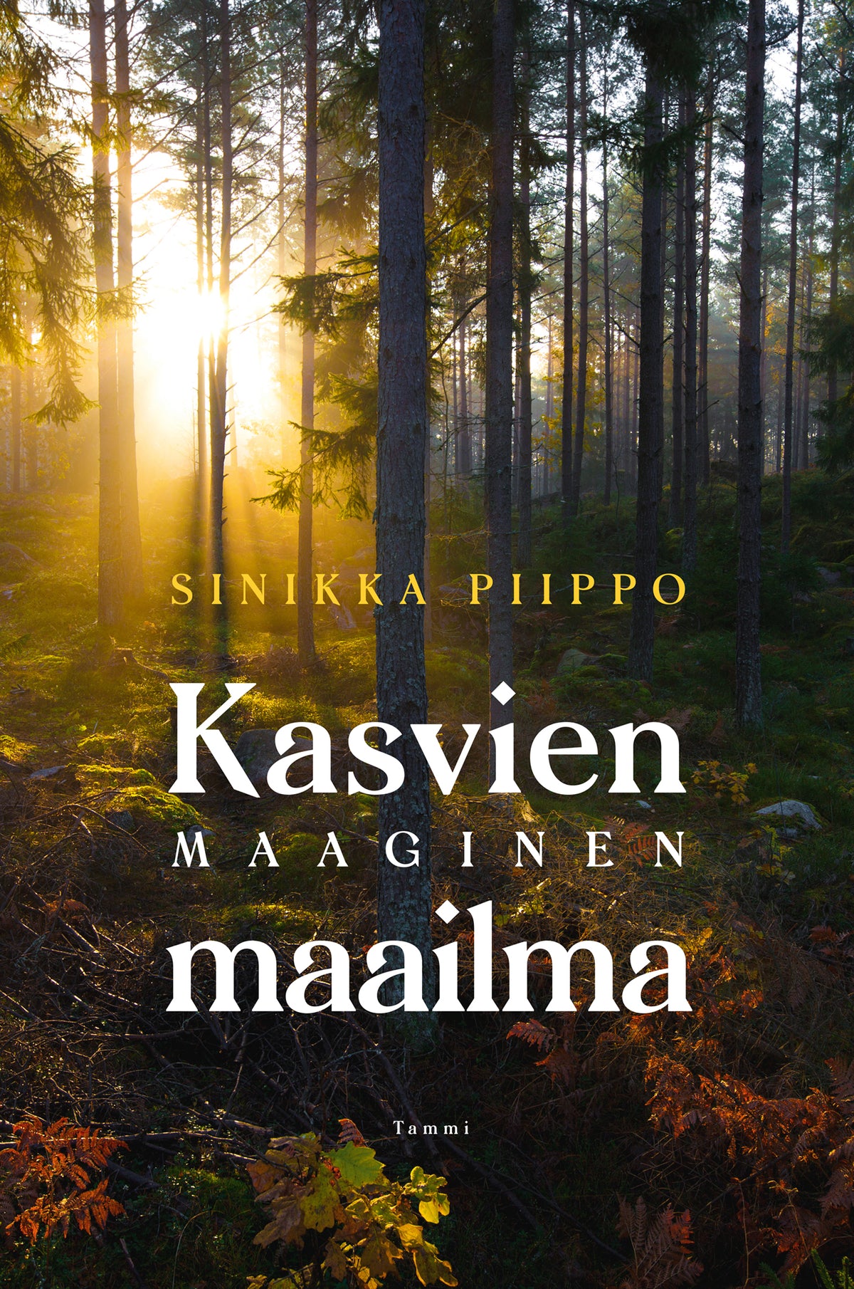 Kasvien maaginen maailma – E-bok