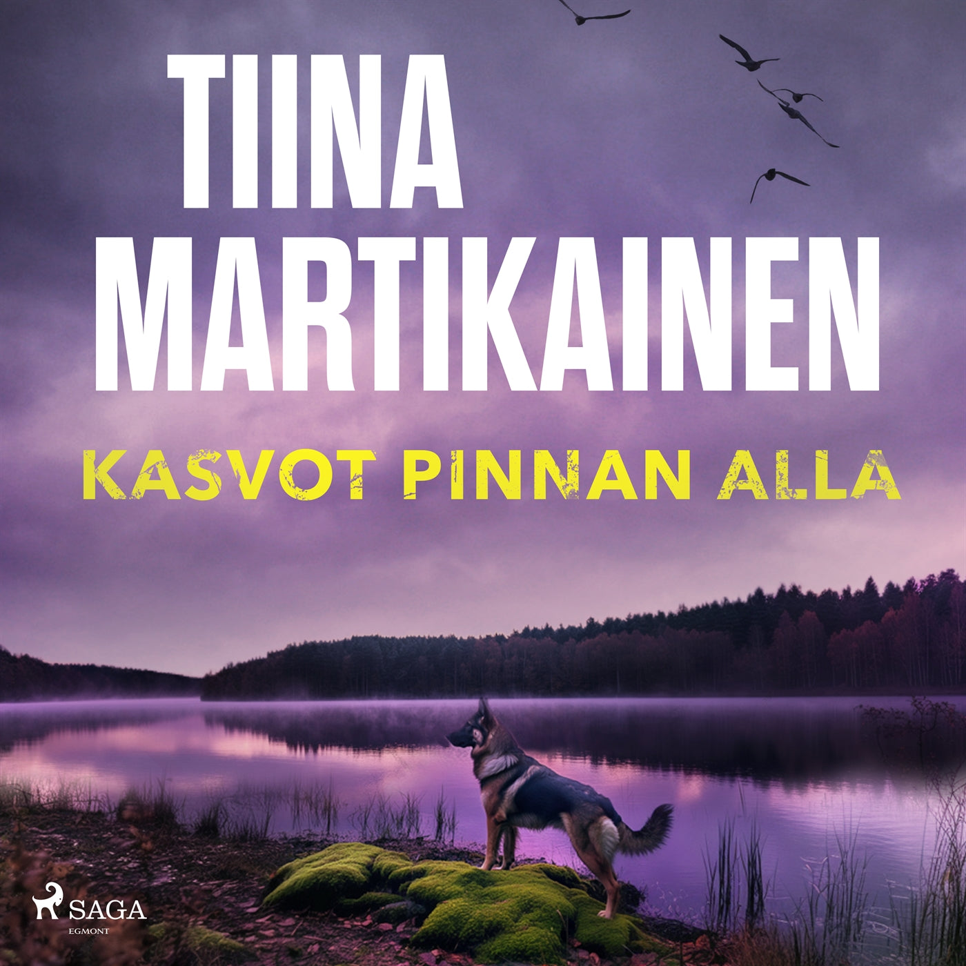 Kasvot pinnan alla – Ljudbok