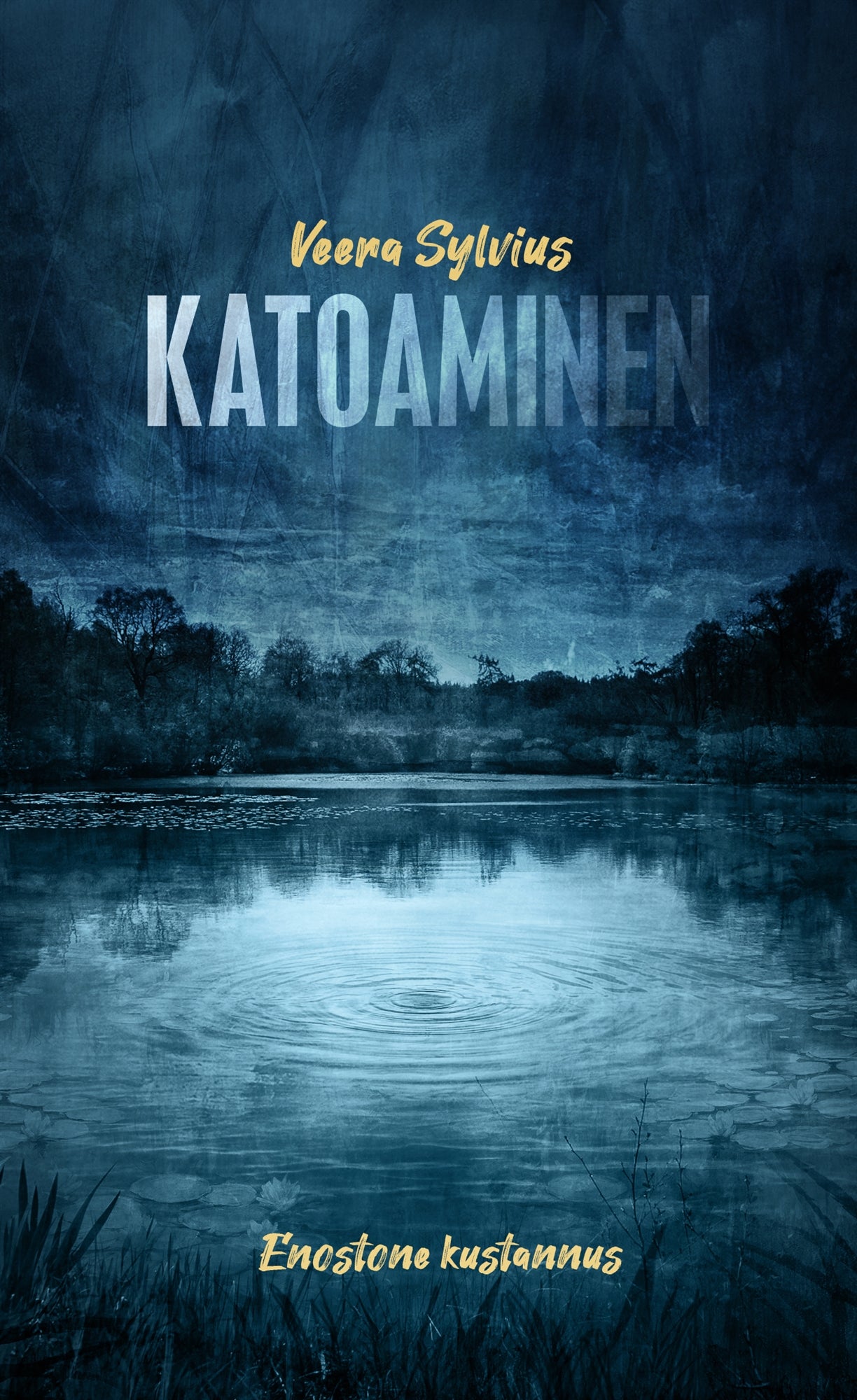 Katoaminen – E-bok