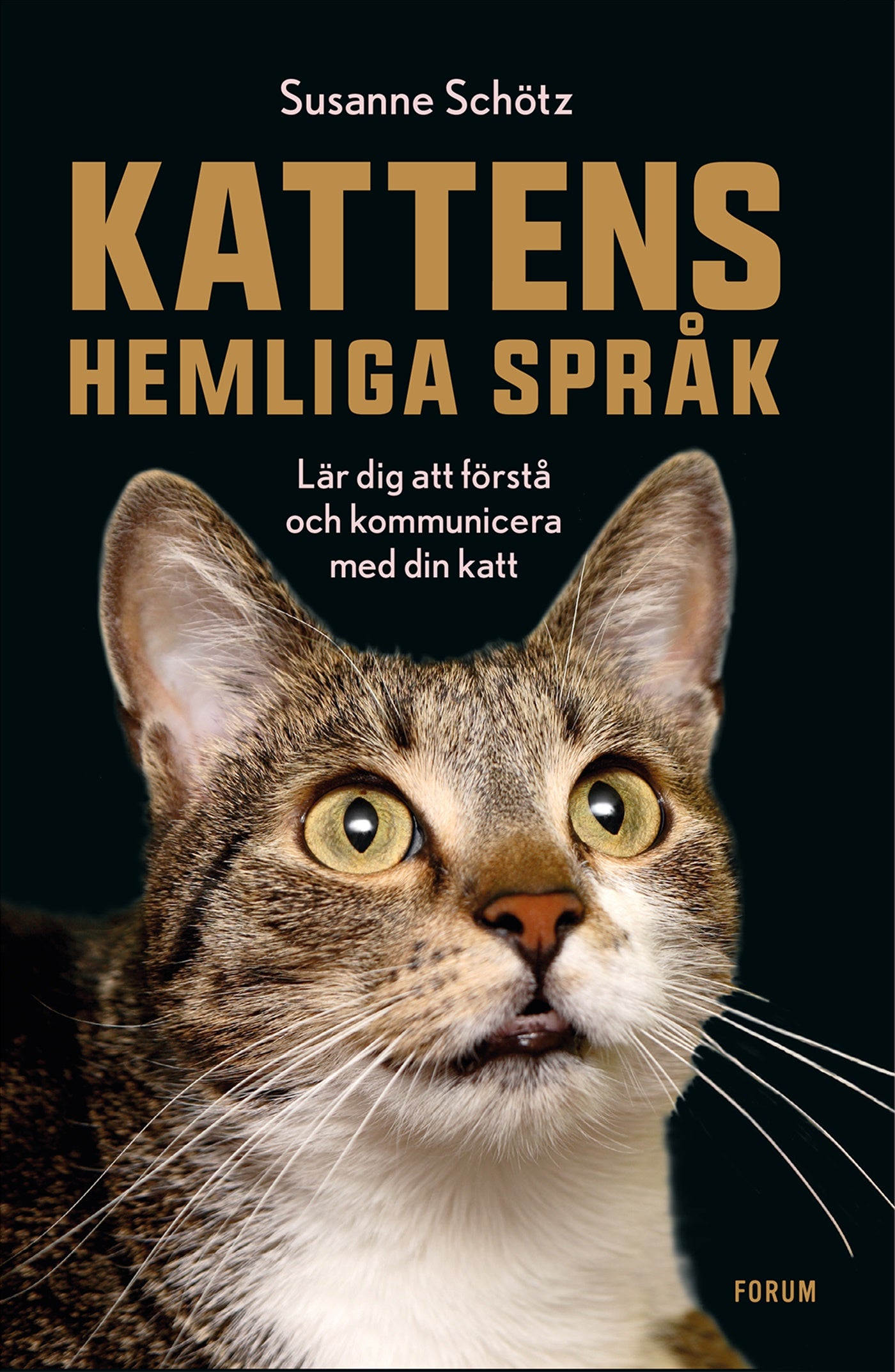 Kattens hemliga språk : lär dig att förstå och kommunicera med din katt – E-bok
