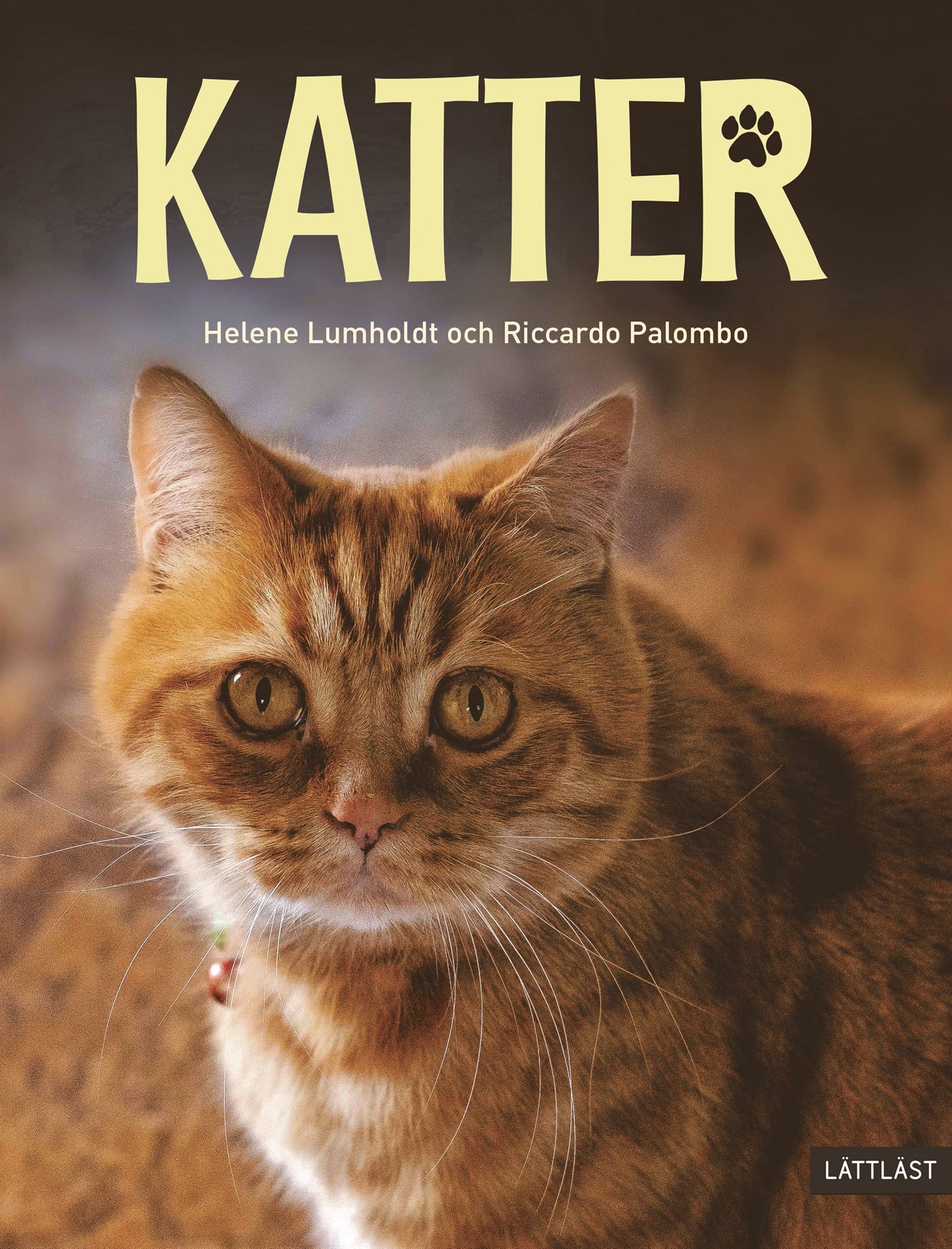 Katter (lättläst) – E-bok