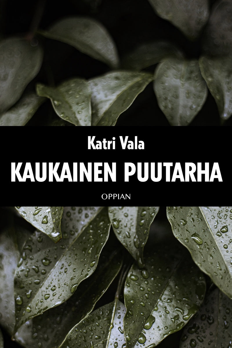 Kaukainen puutarha – E-bok