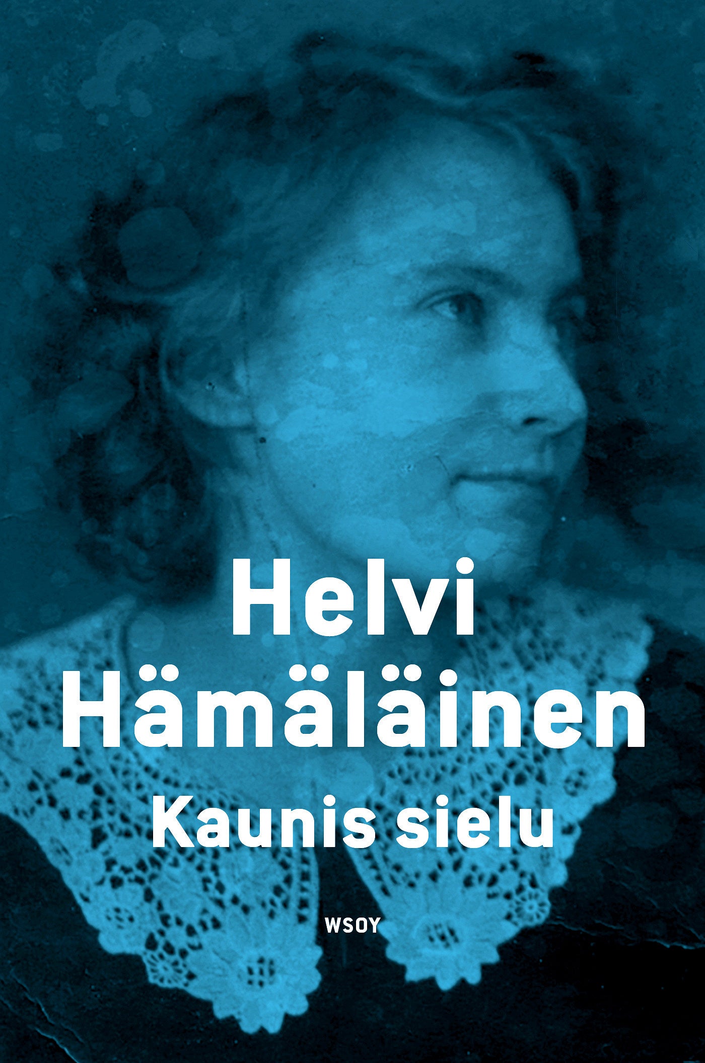 Kaunis sielu – E-bok