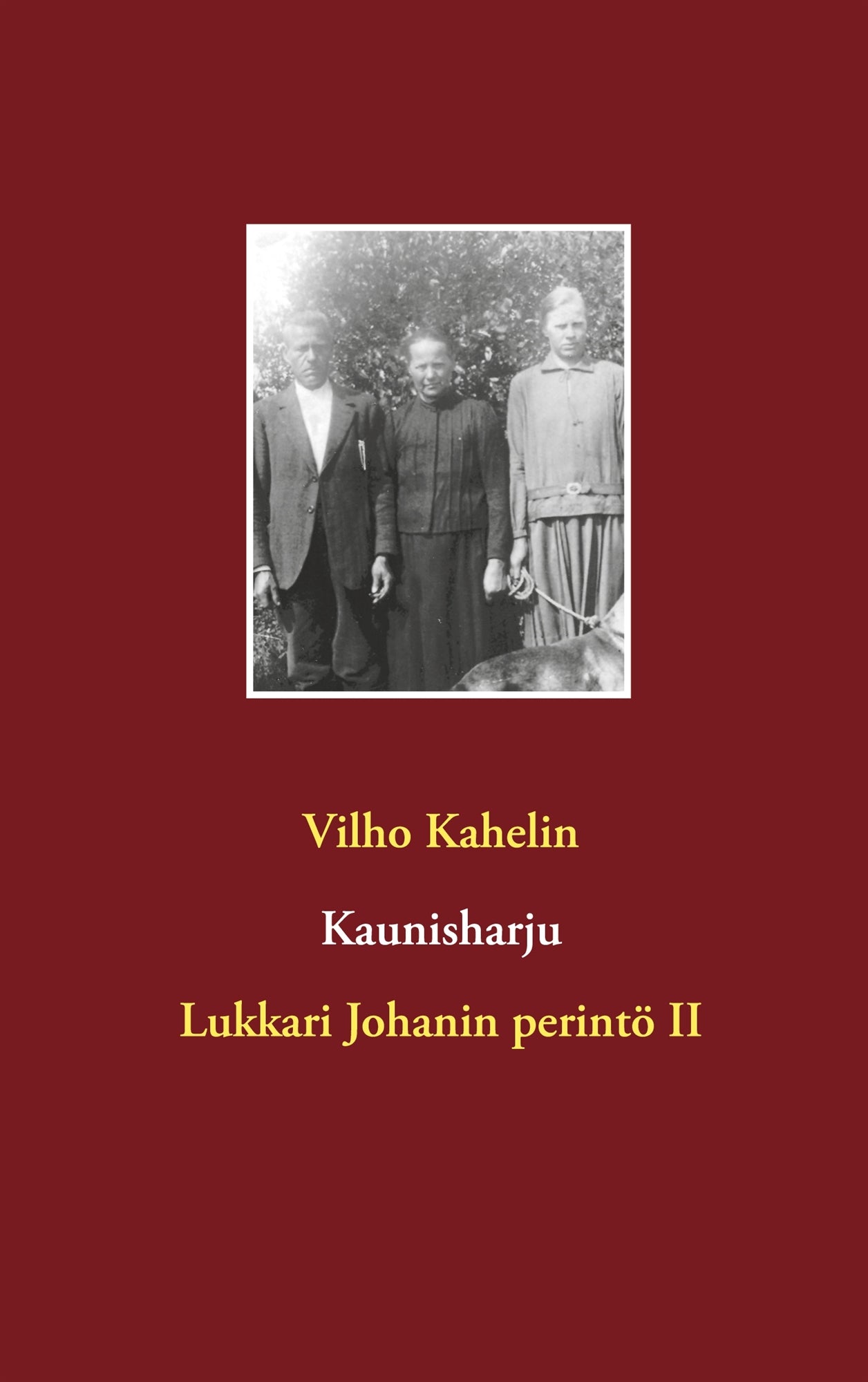 Kaunisharju: Lukkari Johanin perintö II – E-bok