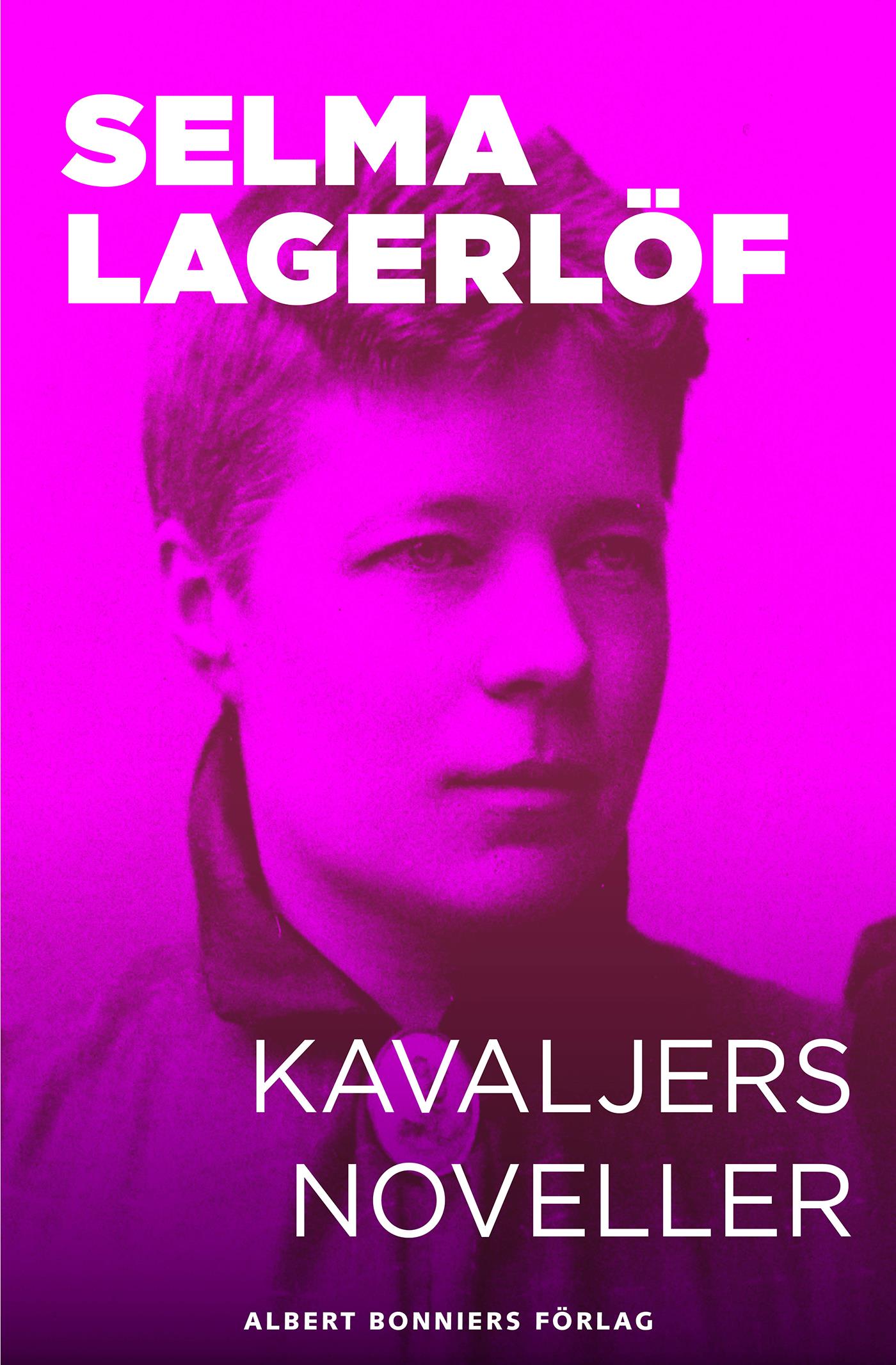 Kavaljersnoveller – E-bok