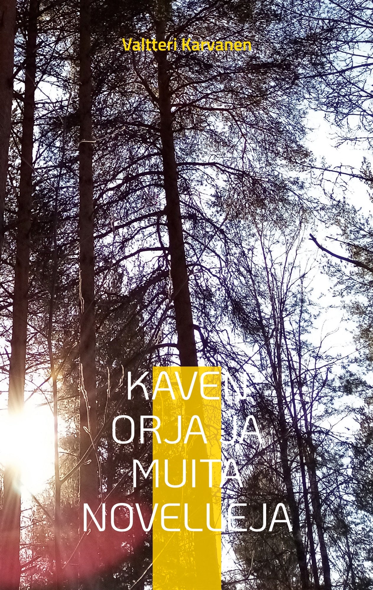 Kaven orja ja muita novelleja – E-bok