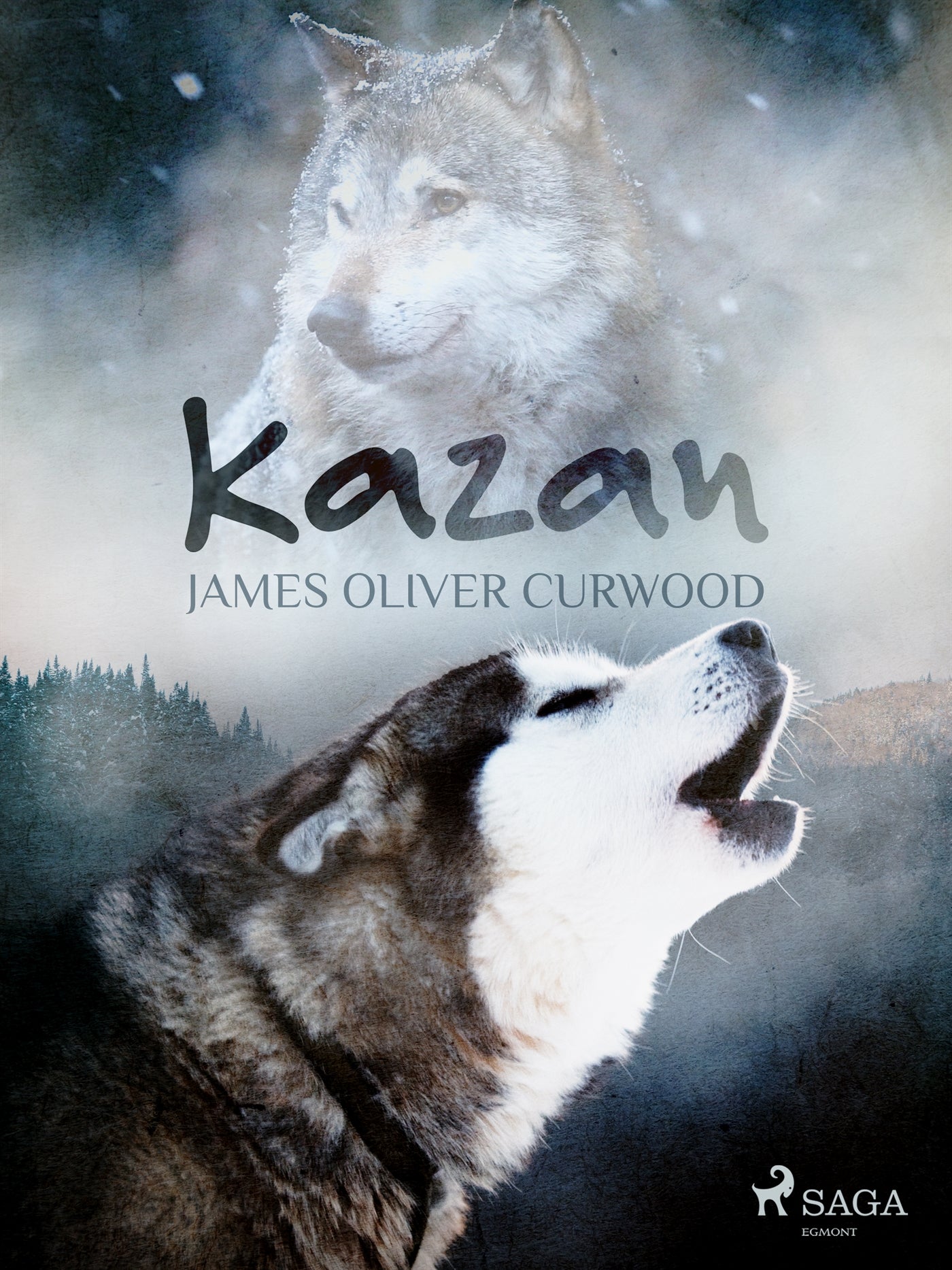 Kazan – E-bok