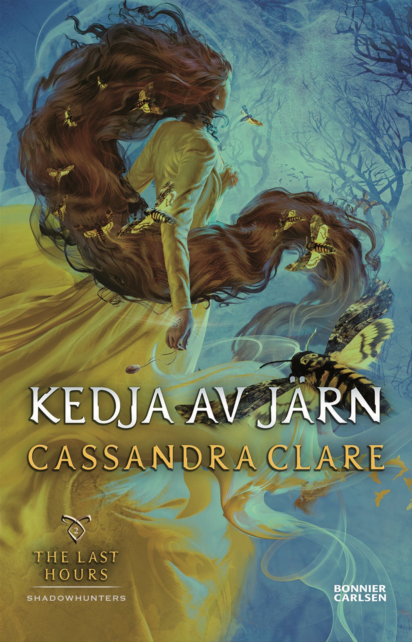Kedja av järn – E-bok