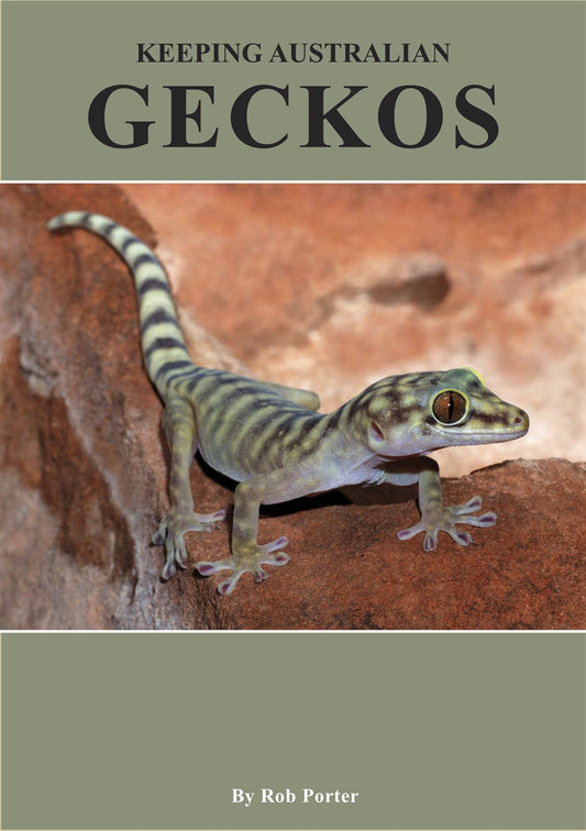 Keeping Australian Geckos – E-bok