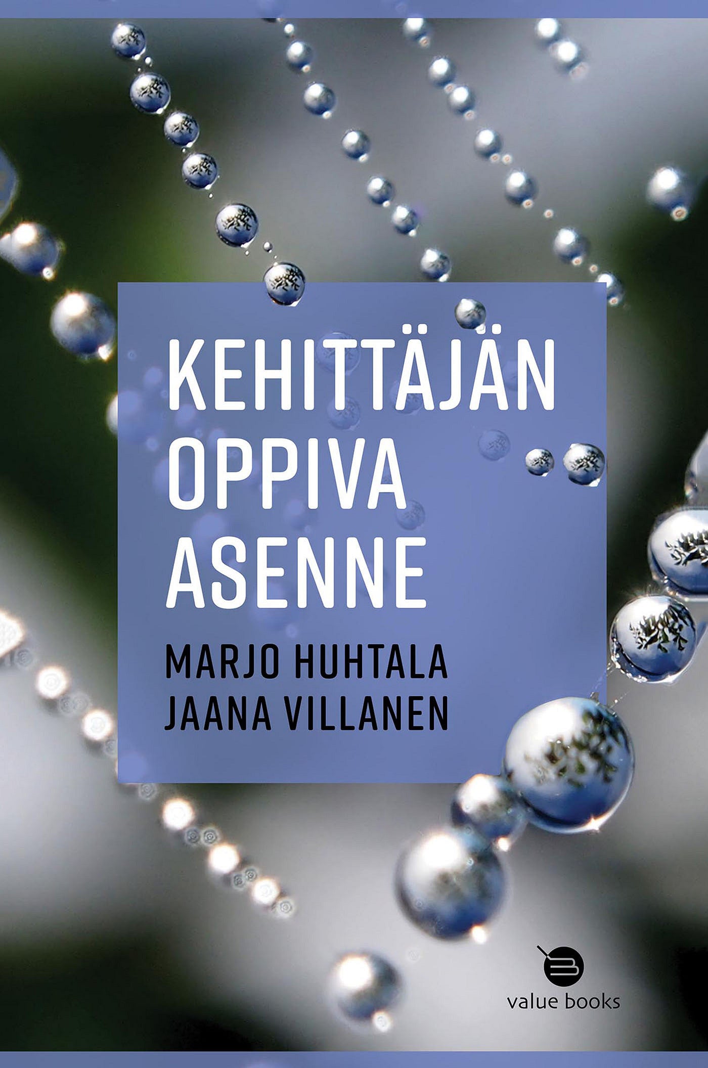 Kehittäjän oppiva asenne – E-bok