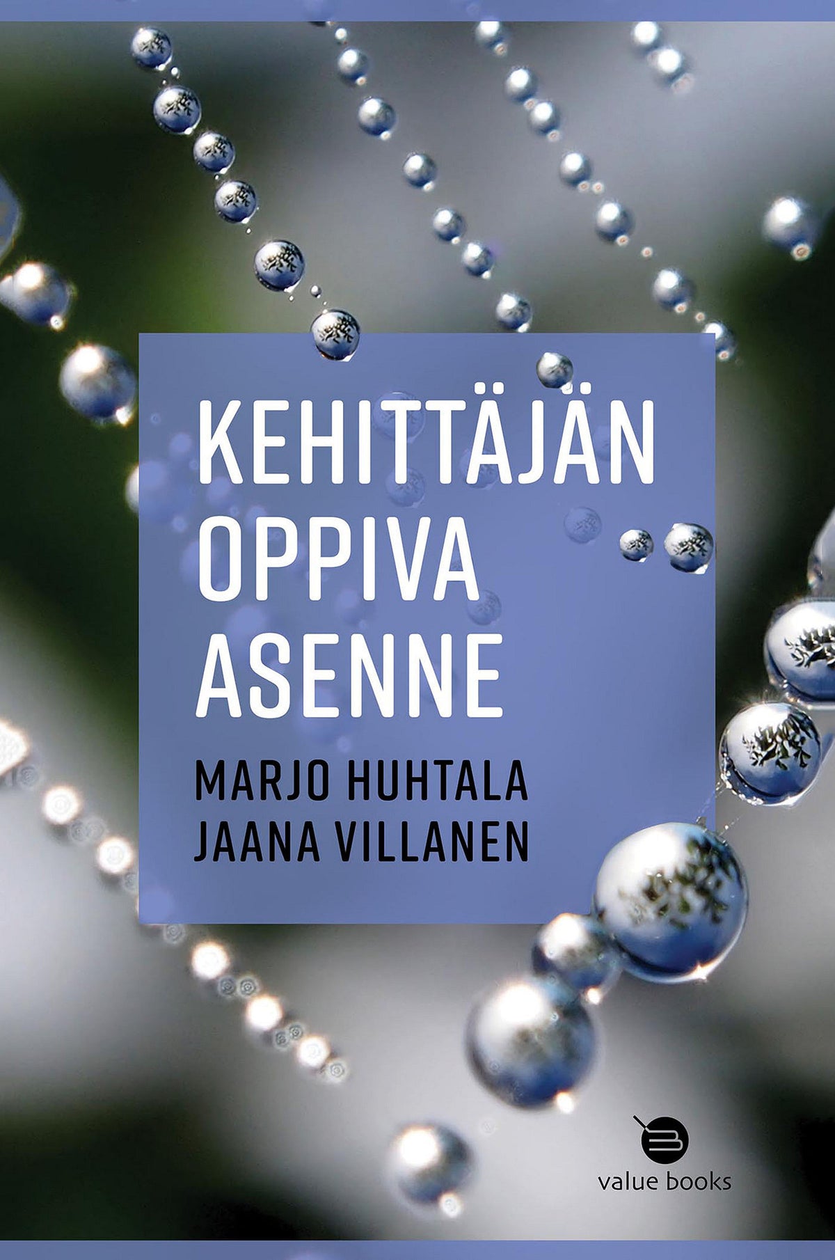 Kehittäjän oppiva asenne – E-bok