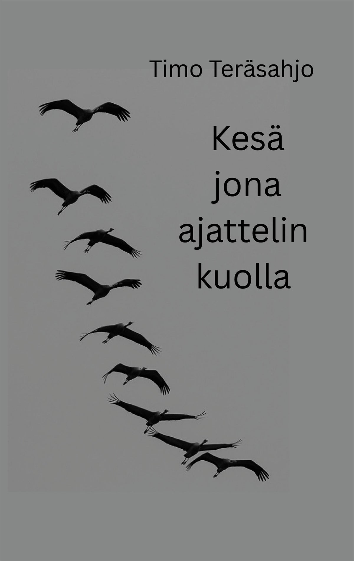 Kesä jona ajattelin kuolla – E-bok