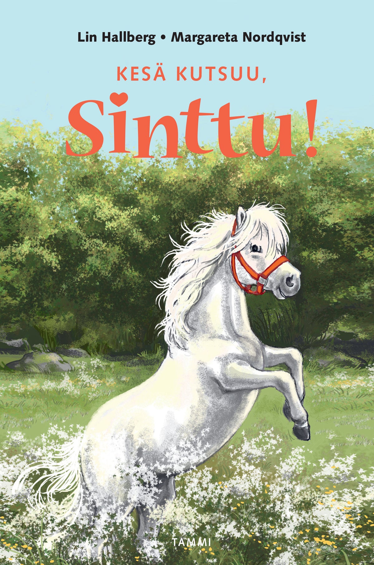 Kesä kutsuu, Sinttu! – E-bok