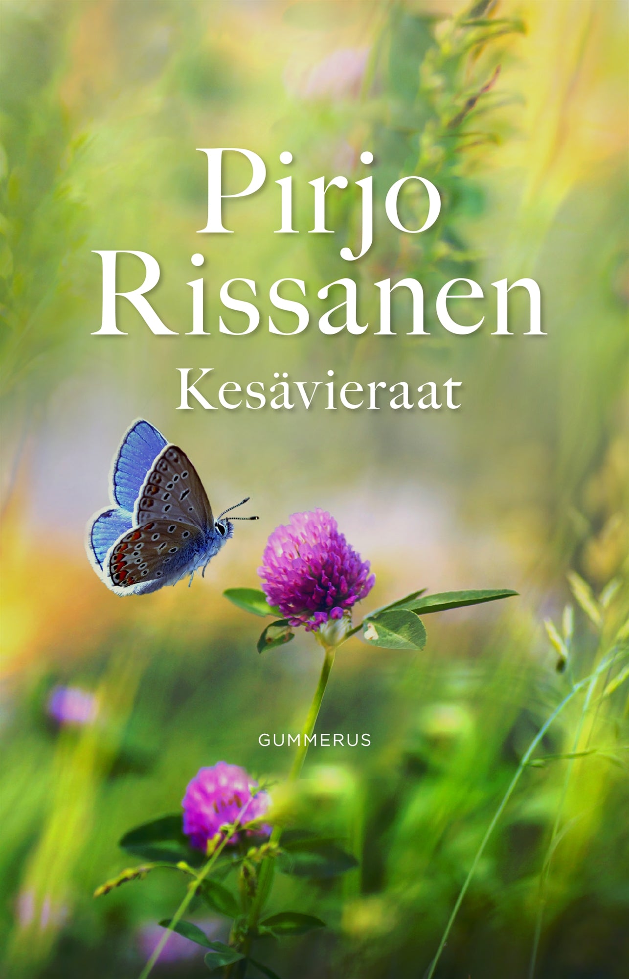 Kesävieraat – E-bok