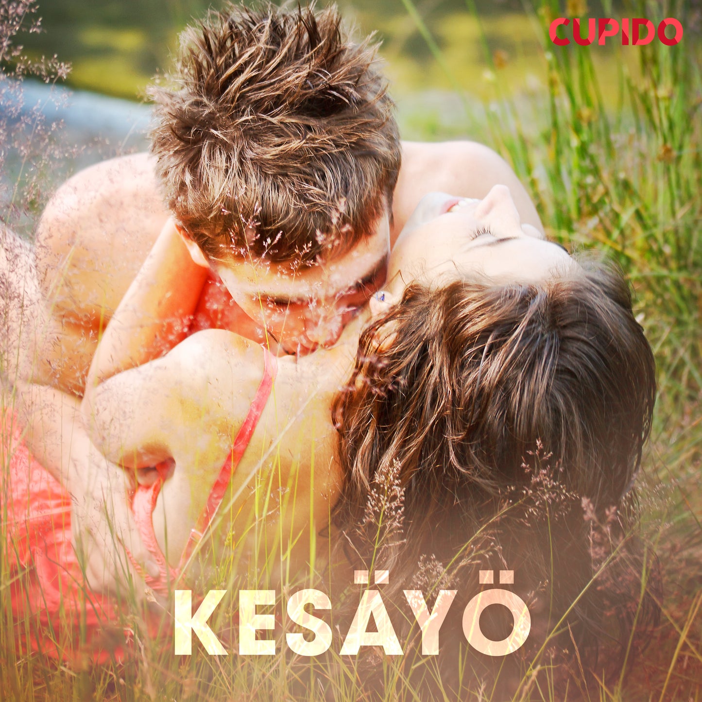 Kesäyö – Ljudbok