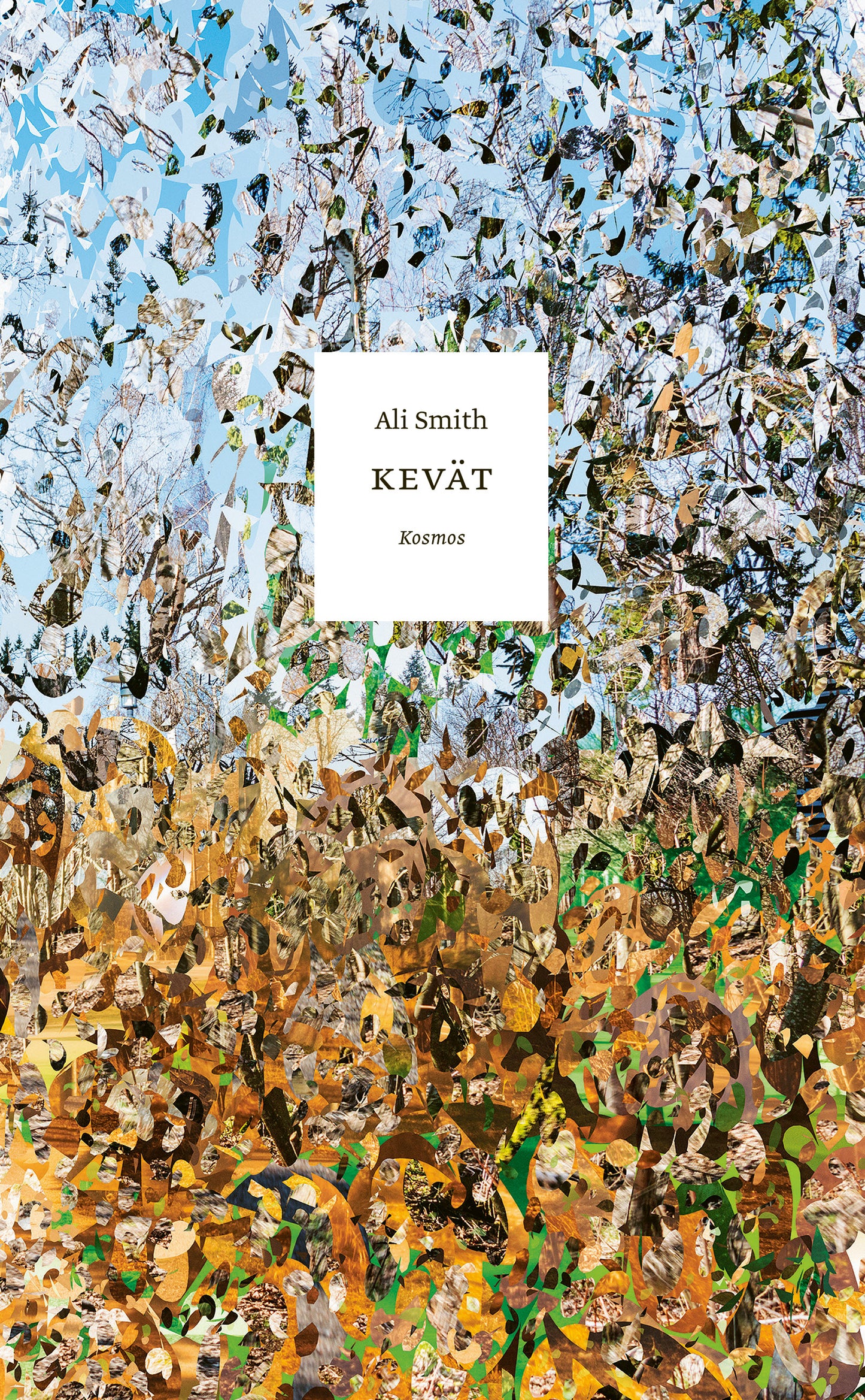 Kevät – E-bok