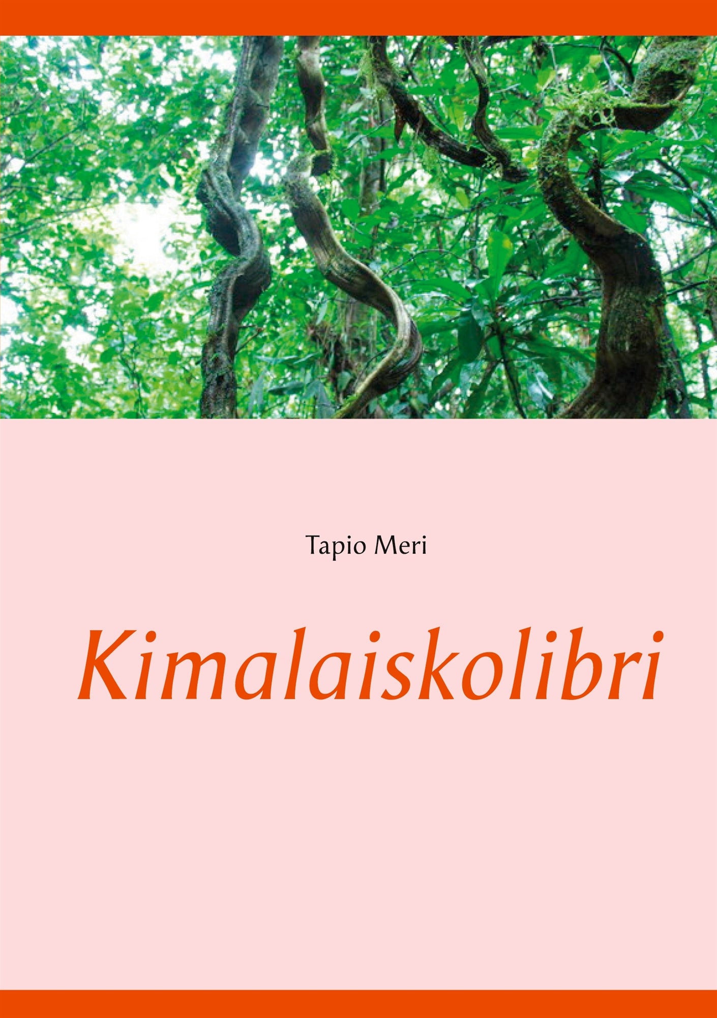 Kimalaiskolibri – E-bok