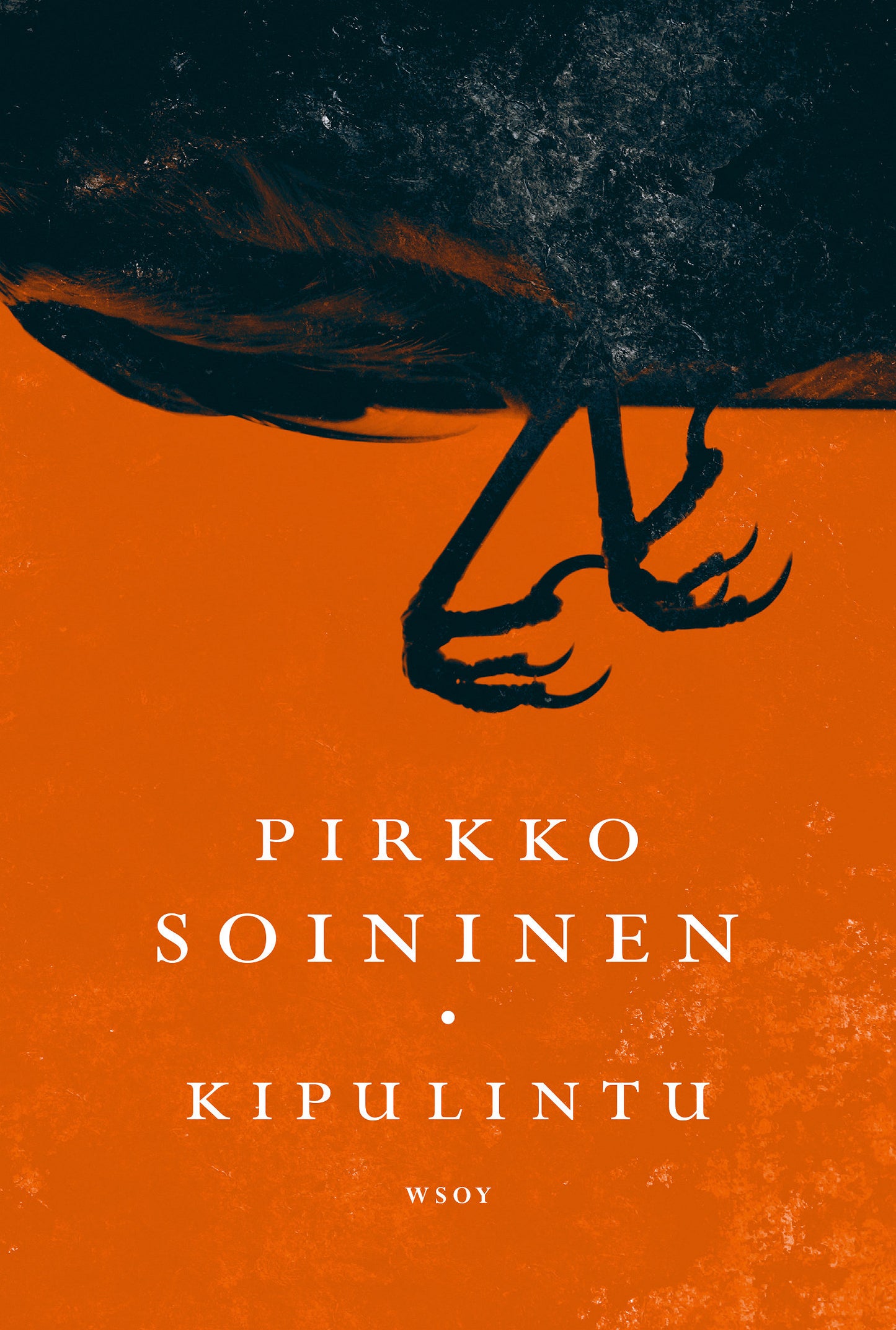 Kipulintu – E-bok