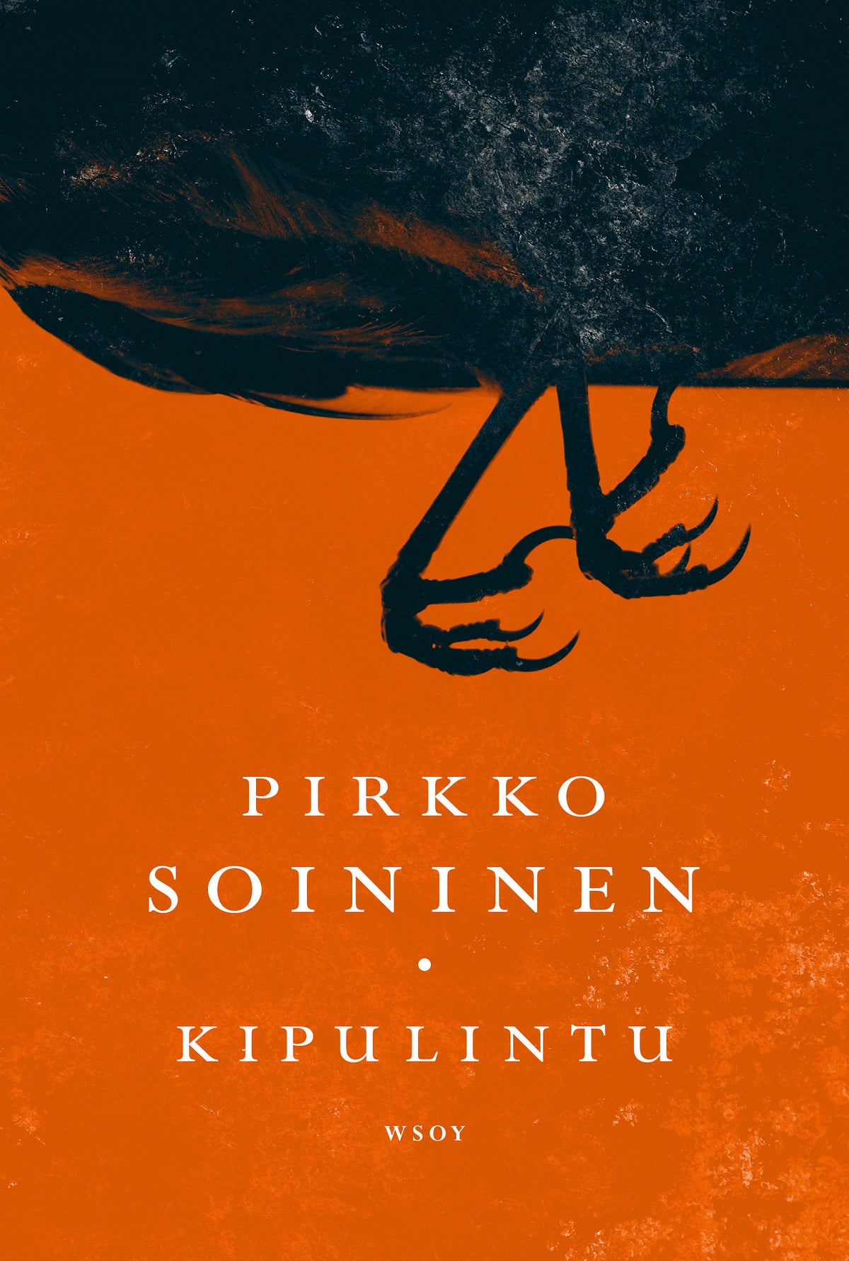 Kipulintu – E-bok