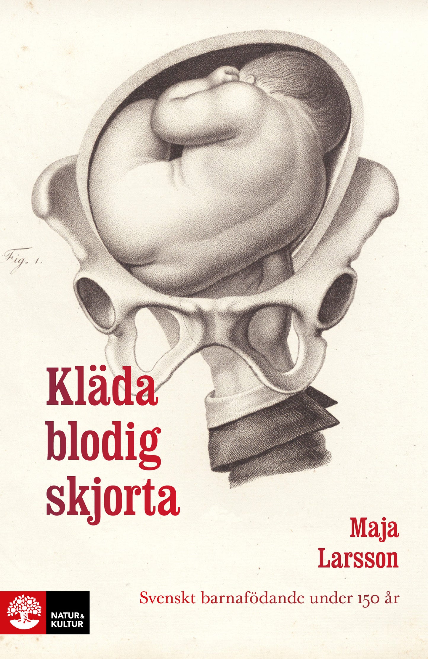 Kläda blodig skjorta : svenskt barnafödande under 150 år – E-bok