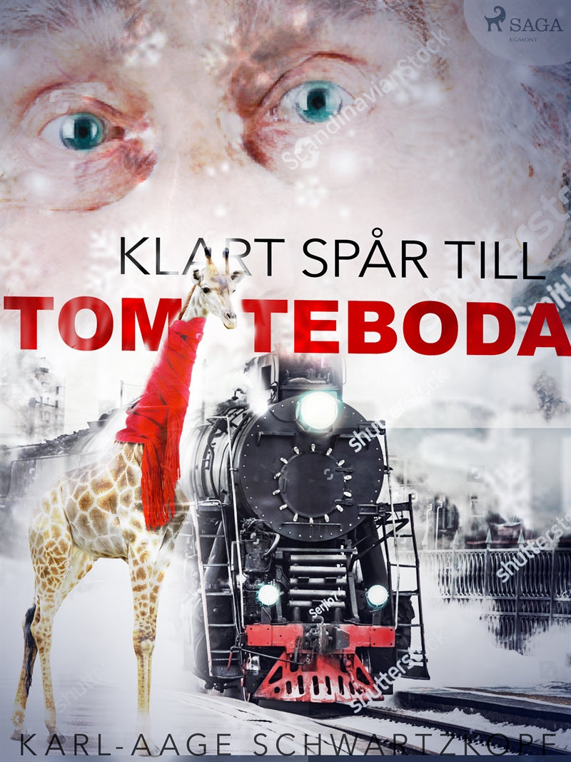 Klart spår till Tomteboda – E-bok