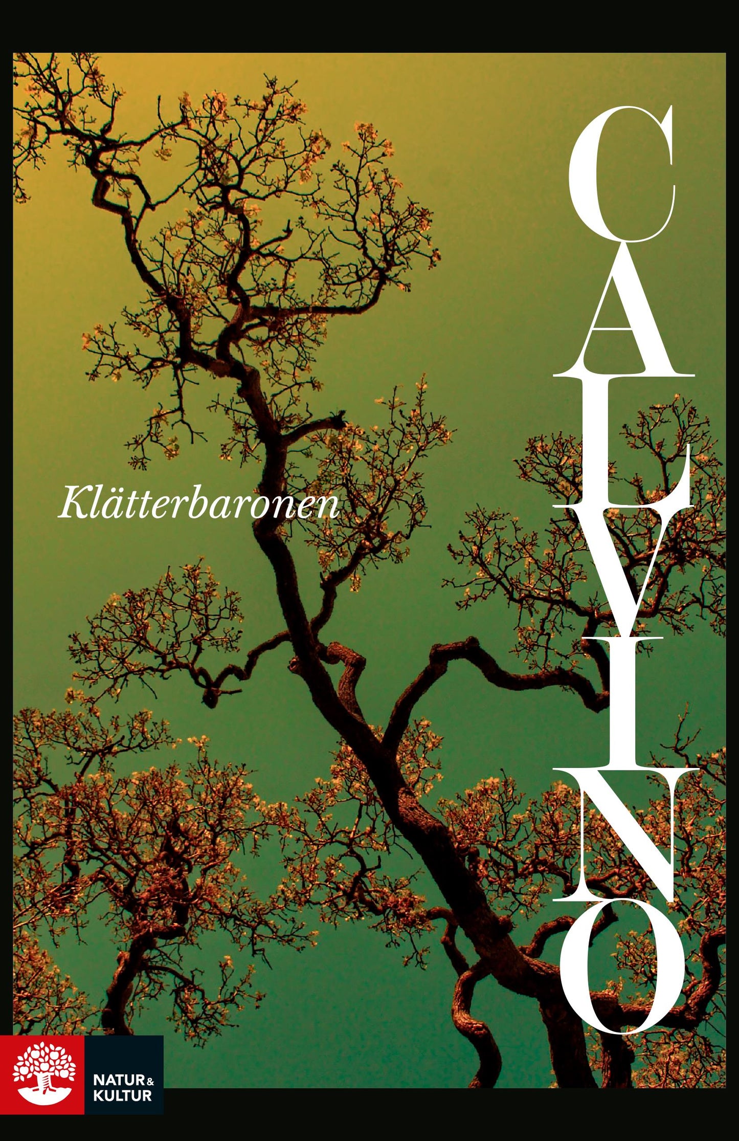 Klätterbaronen – E-bok
