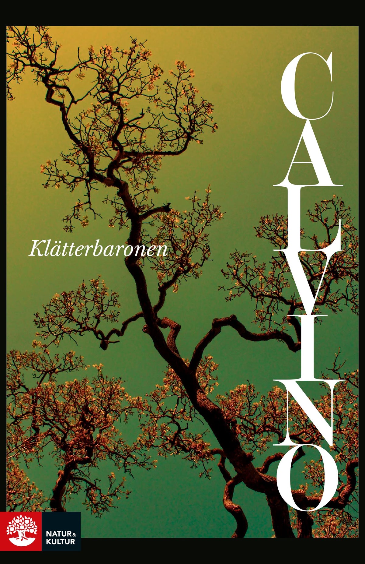 Klätterbaronen – E-bok