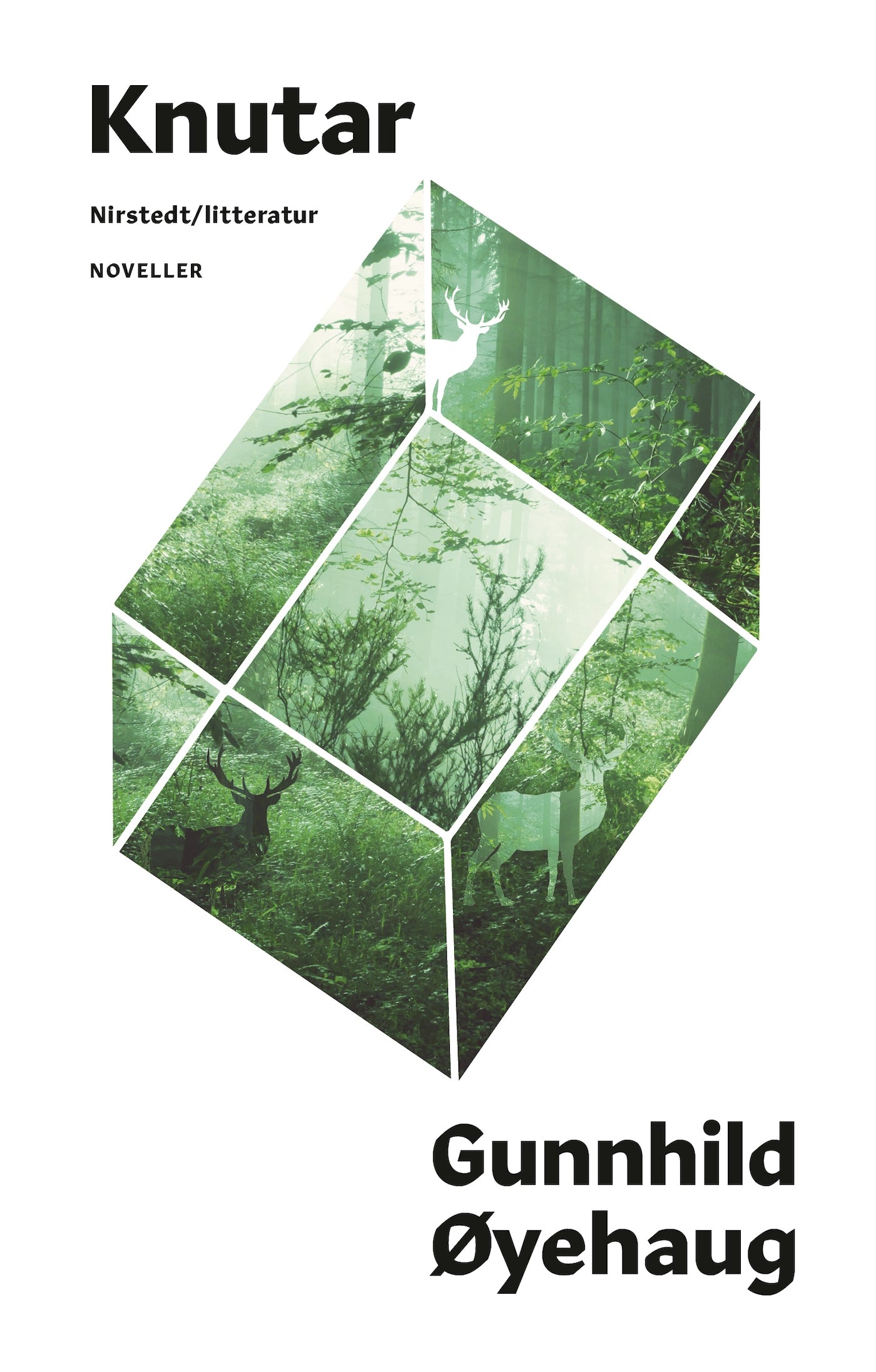 Knutar – E-bok