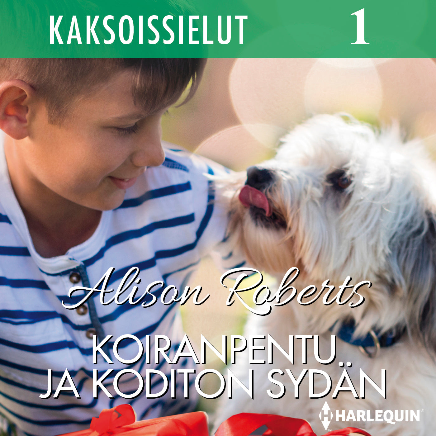 Koiranpentu ja koditon sydän – Ljudbok