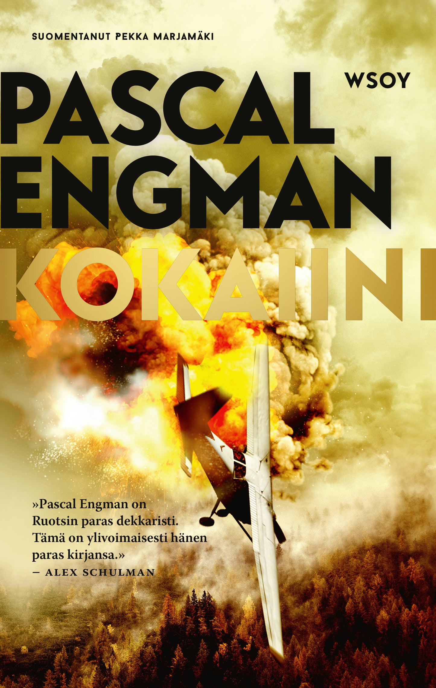 Kokaiini – E-bok