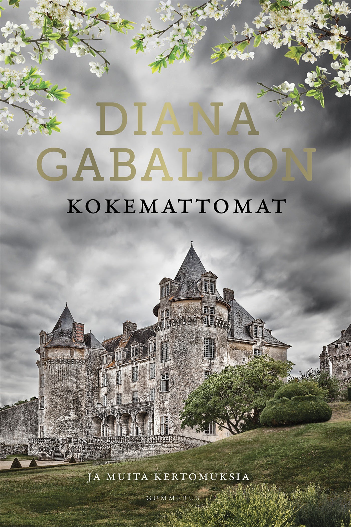 Kokemattomat – E-bok