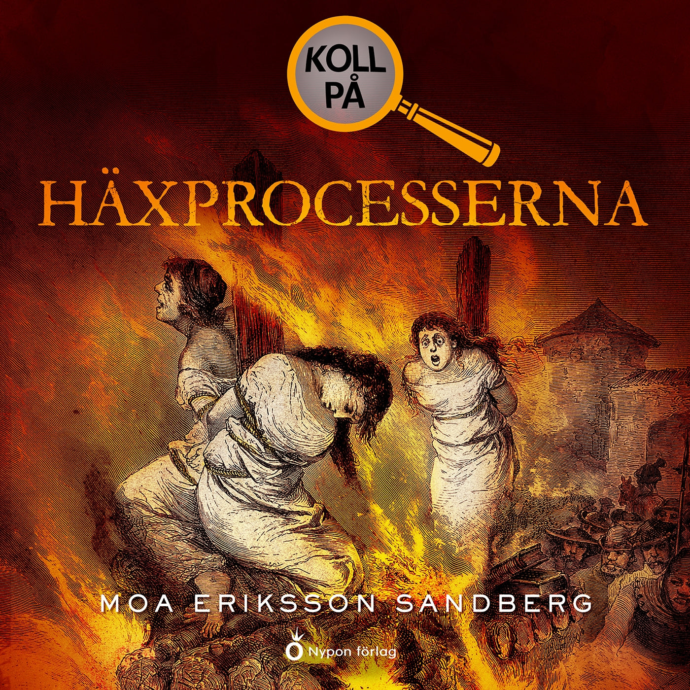 Koll på häxprocesserna – Ljudbok