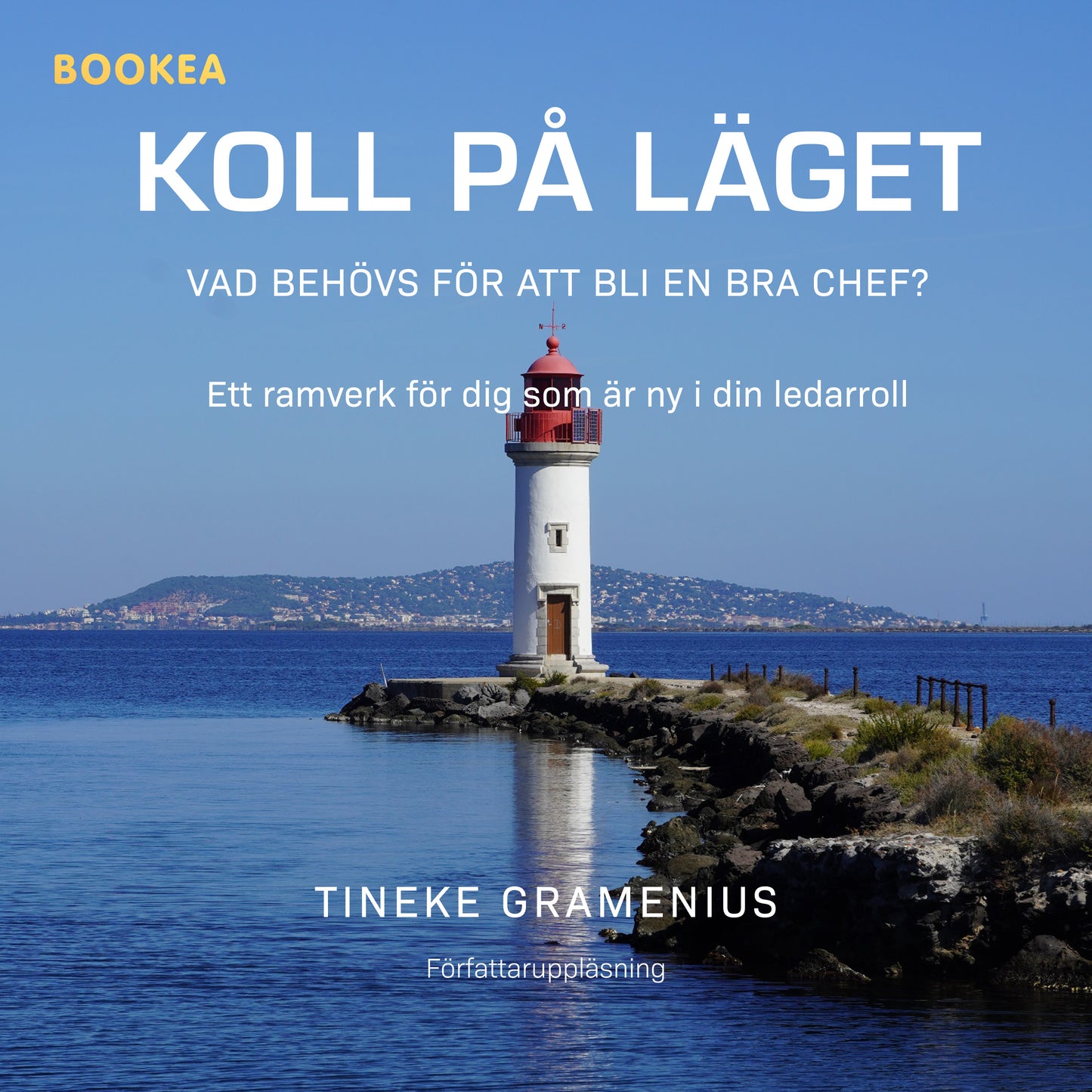 Koll på läget : vad behövs för att bli en bra chef? – Ljudbok