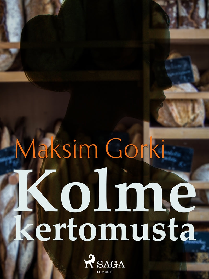 Kolme kertomusta – E-bok