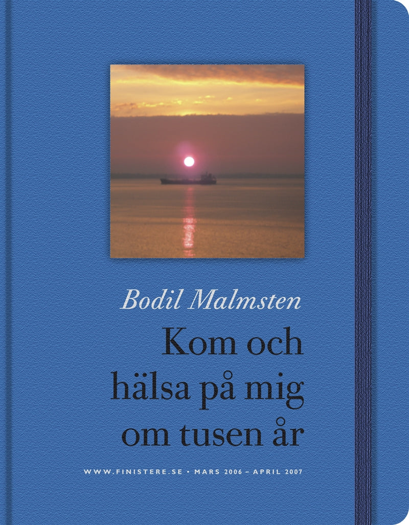 Kom och hälsa på mig om tusen år – E-bok