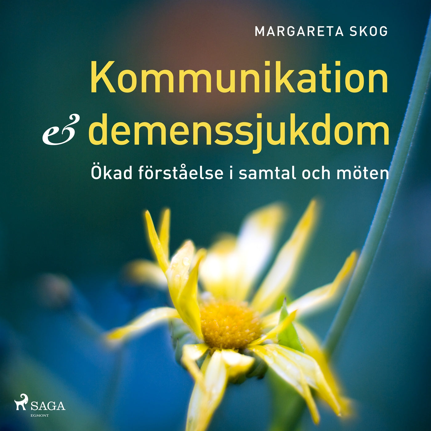 Kommunikation och demenssjukdomar – Ljudbok