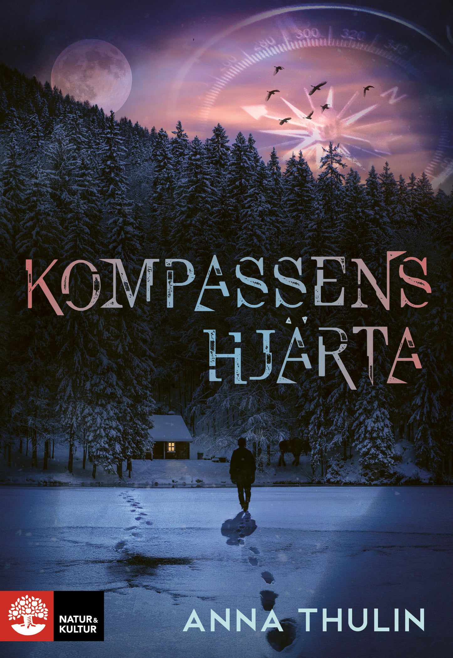 Kompassens hjärta – E-bok