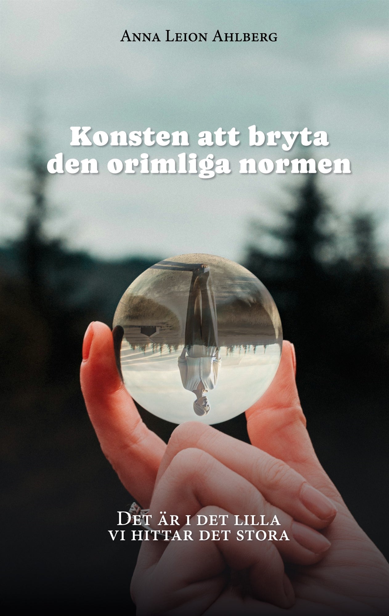 Konsten att bryta den orimliga normen: Det är i det lilla vi hittar det stora – E-bok