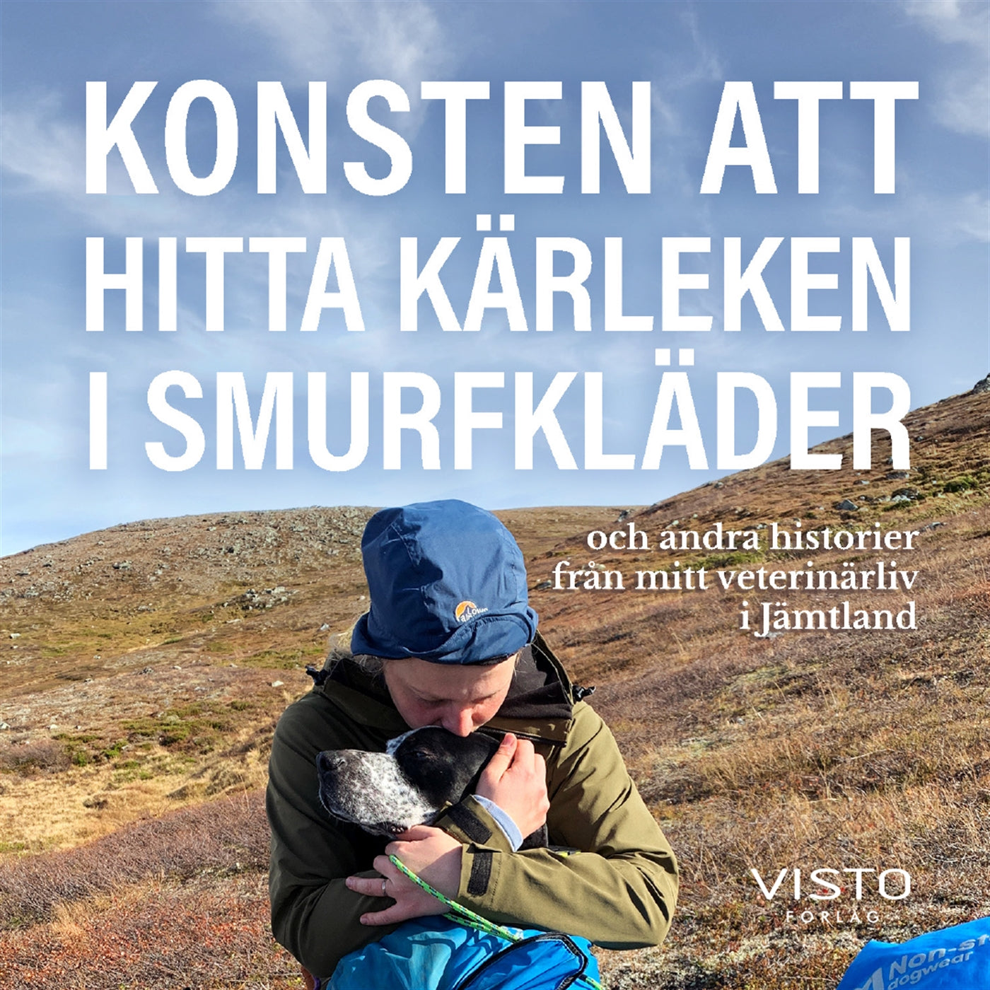 Konsten att hitta kärleken i smurfkläder – Ljudbok