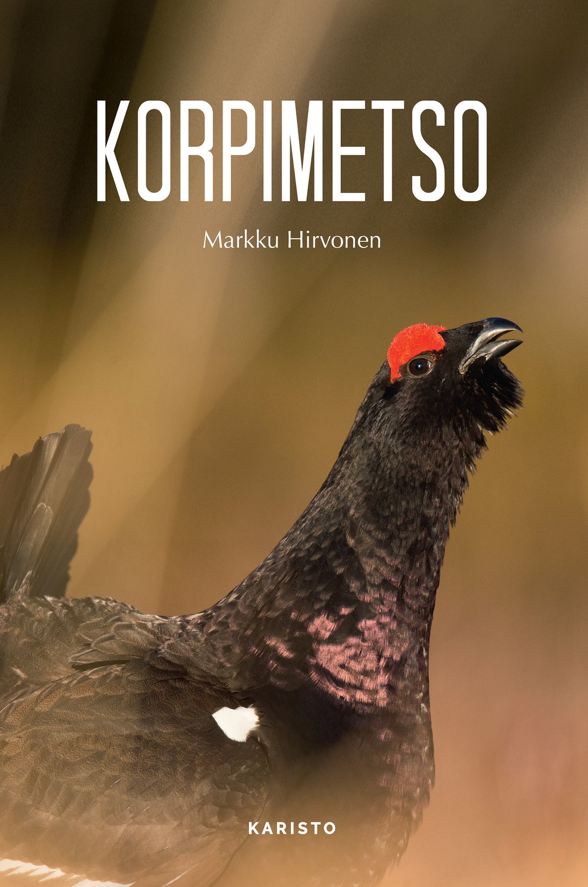 Korpimetso – E-bok