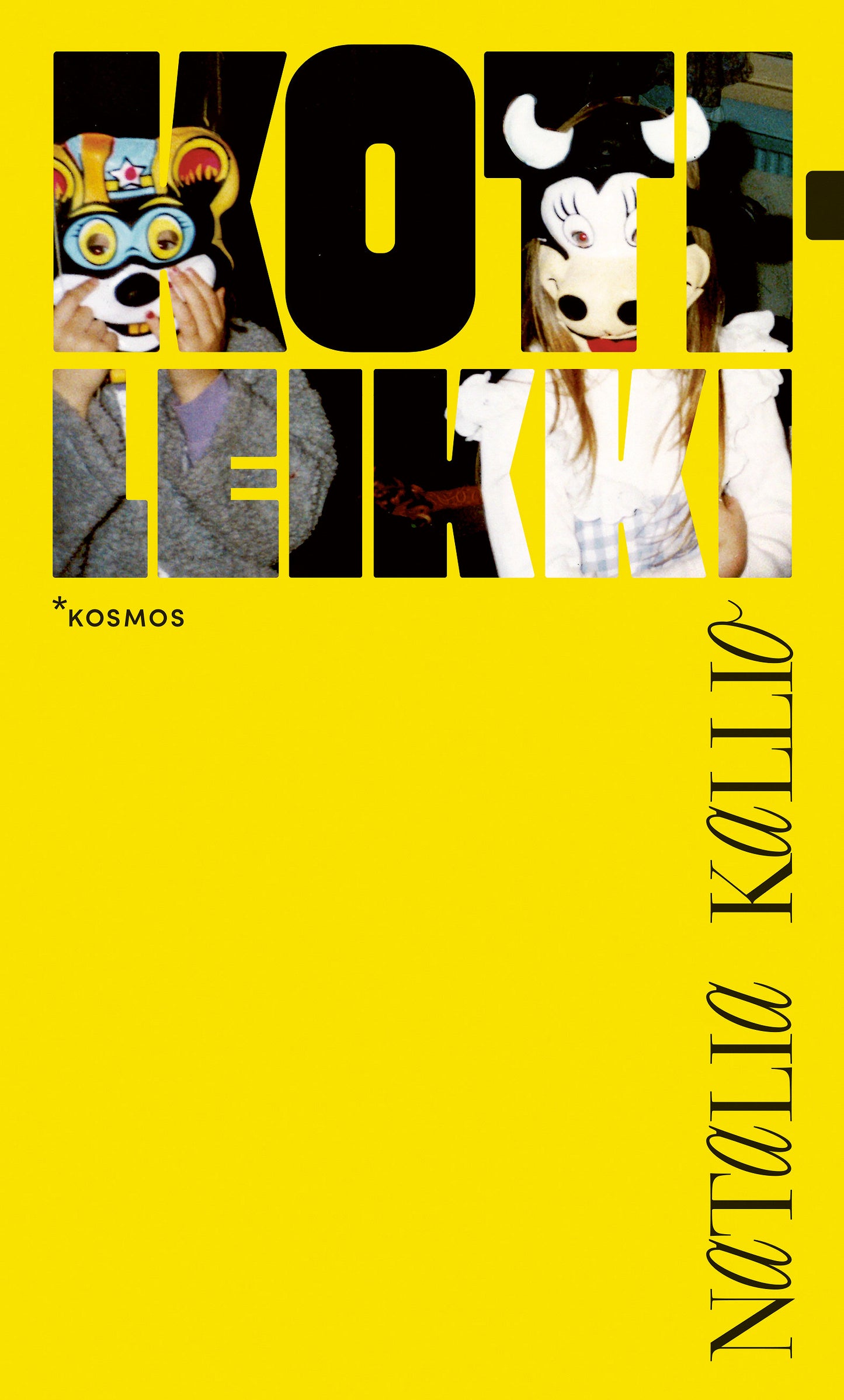 Kotileikki – E-bok